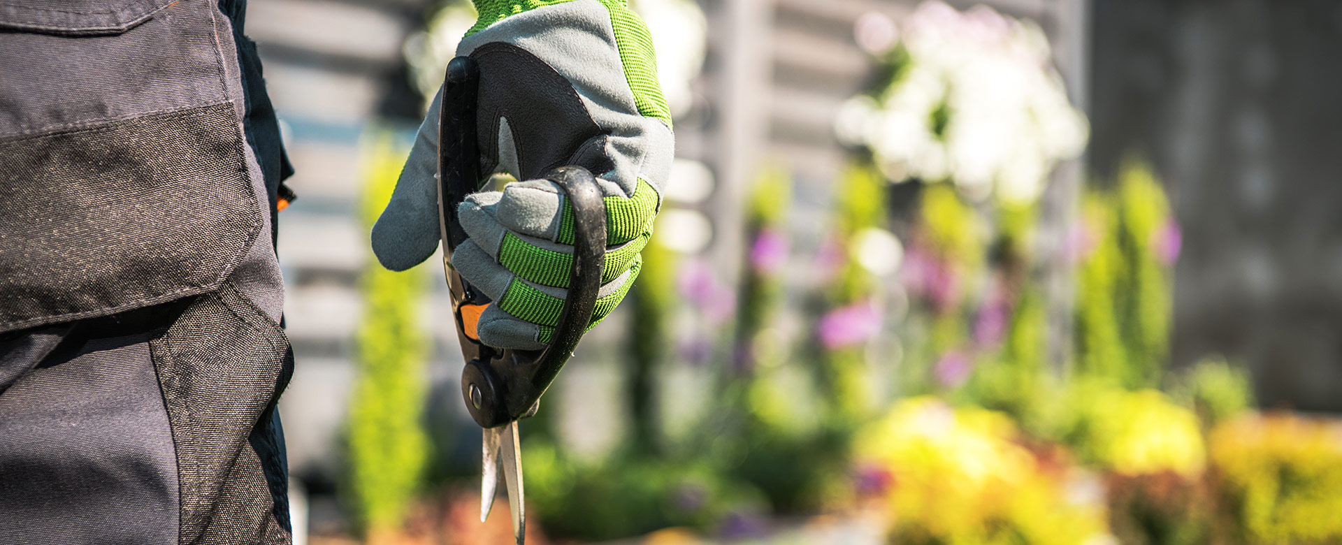 img-slide-ecoffice-servizio-di-gestione-del-verde-pubblico