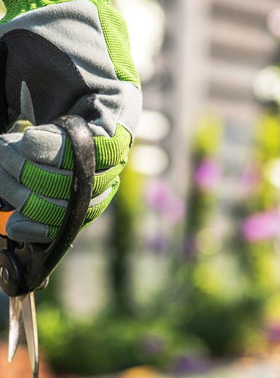 img-slide-ecoffice-servizio-di-gestione-del-verde-pubblico